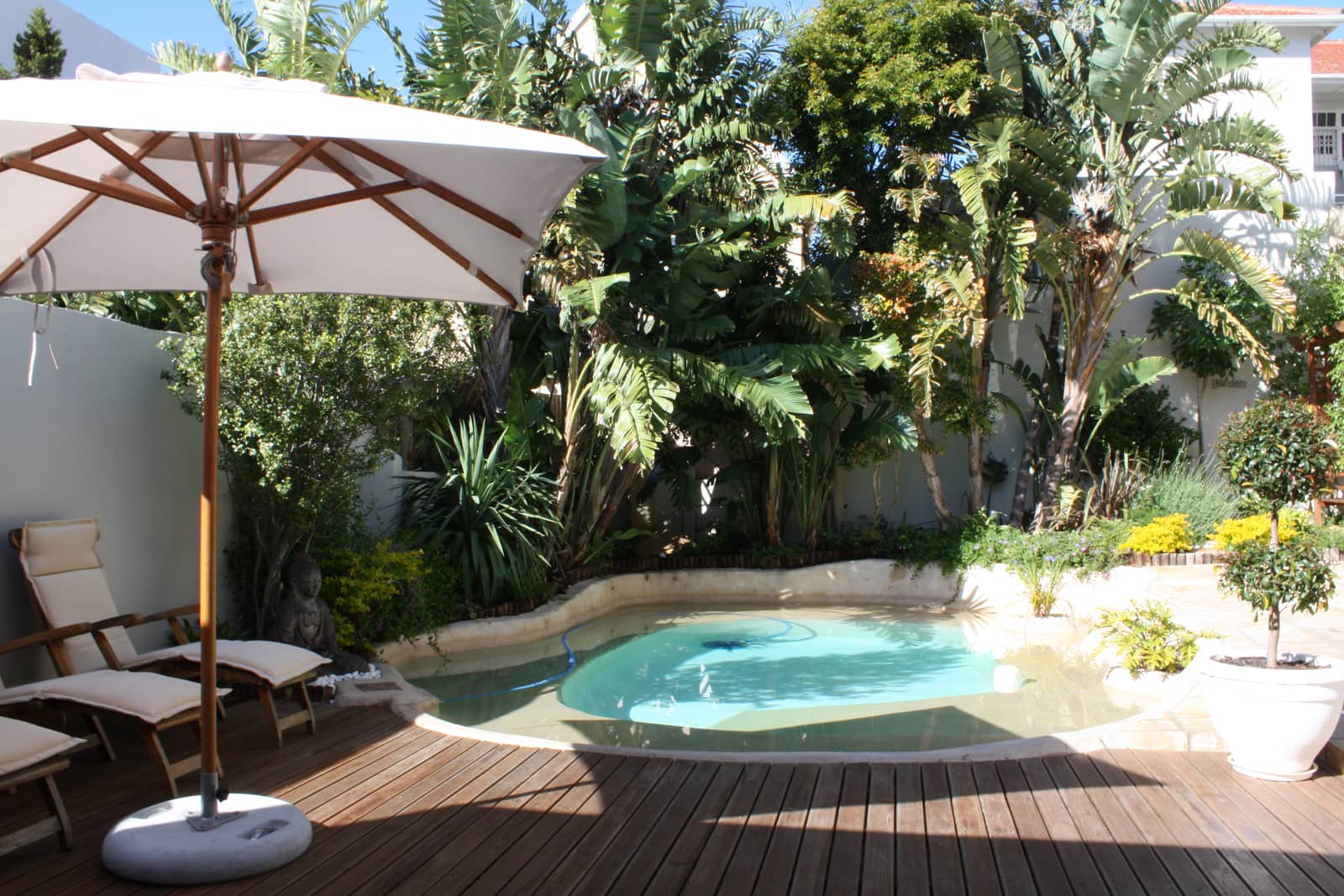 Pool mit Liegen im Garten eines Gästehauses
