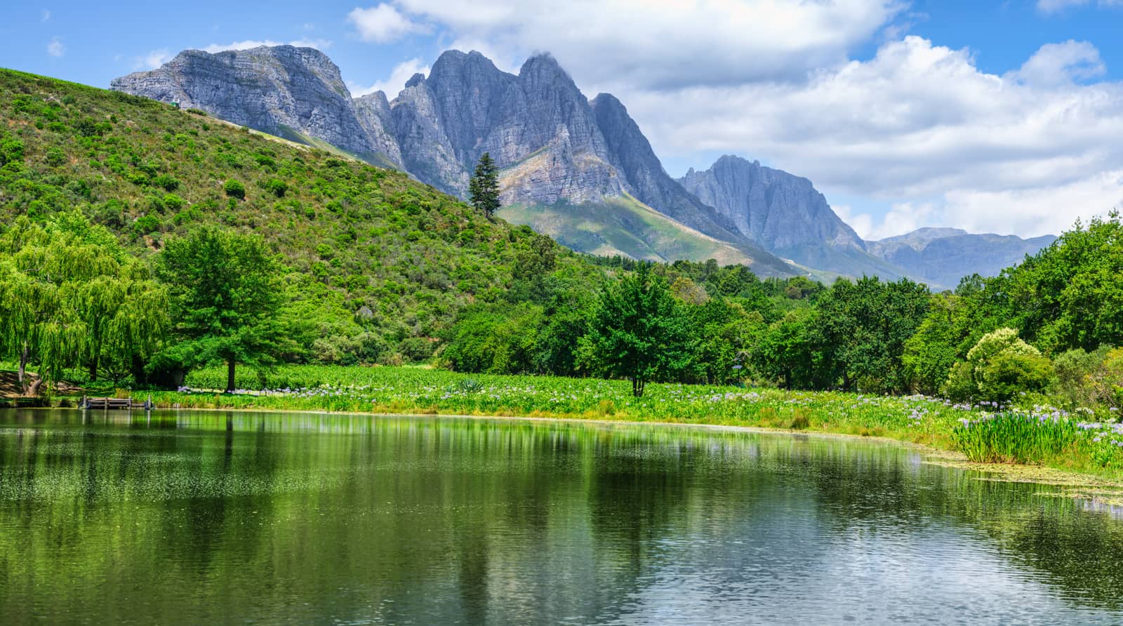 Weingut mit See vor den Bergen des Jonkershoek-Tals bei Stellenbosch